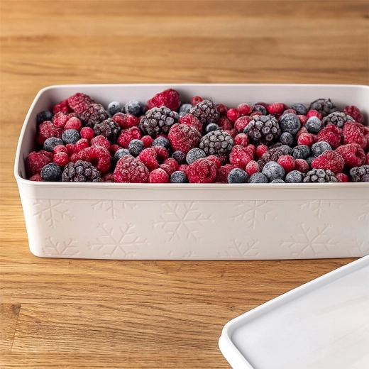 Congelamento sicuro e organizzazione