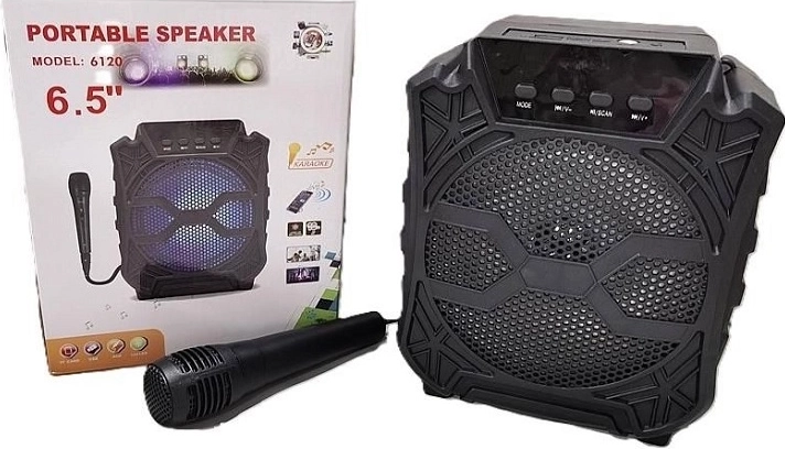 Altoparlante karaoke con microfono