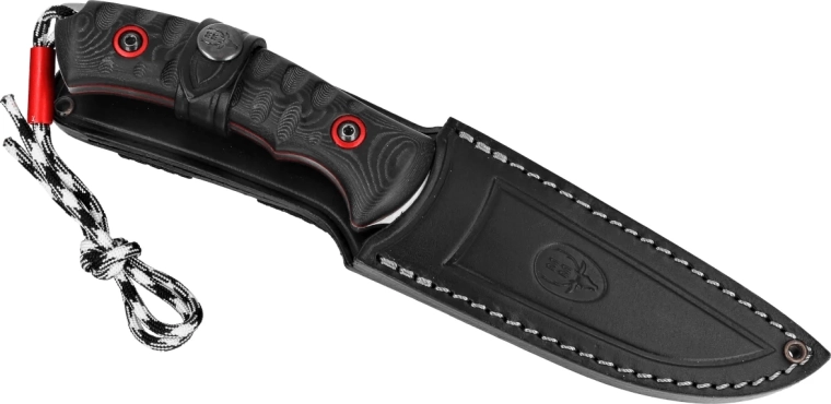 Leather sheath for safe carry