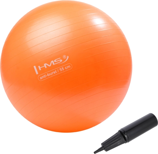 HMS Gym Ball 55 cm Orange