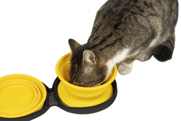 Praktisches Reißverschlussetui