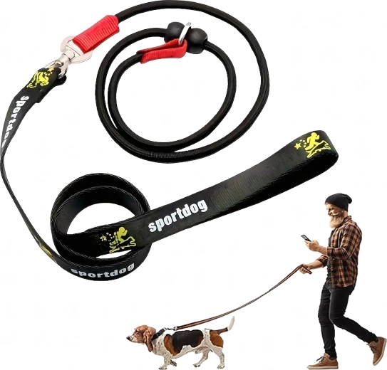 Leash and collar in one