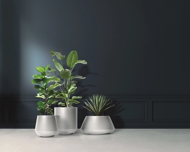 Décoration moderne pour intérieur et bureau