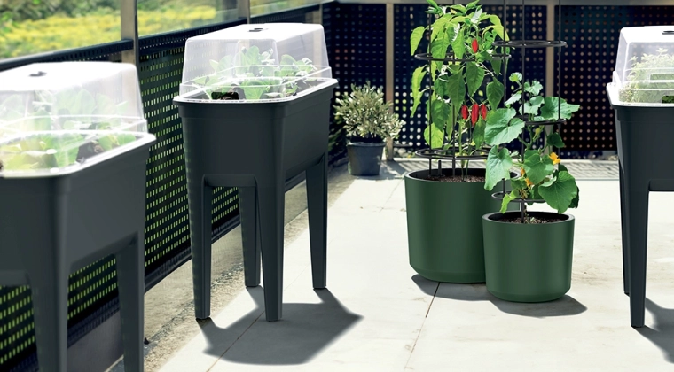 Integrated support for climbing plants