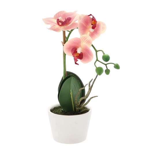 Décoration compacte pour tout espace