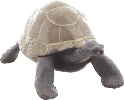 Compact size for small hands