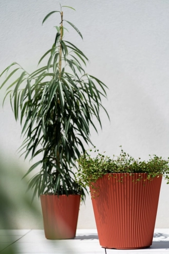 Résistant en extérieur toute l’année