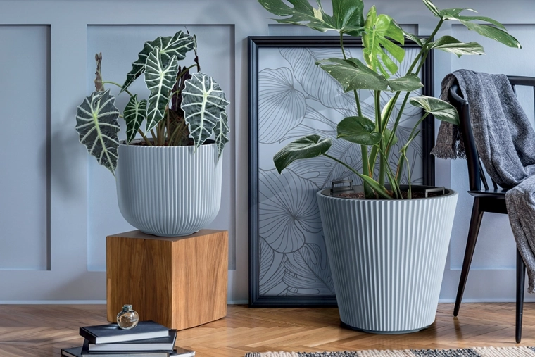 Plastique résistant : anti-UV et résistant au gel