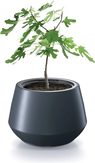 Solution compacte pour petites plantes et sujets en croissance