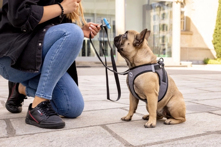 Breathable Air-Mesh and safety on walks