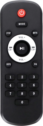 Karaoke with two microphone inputs