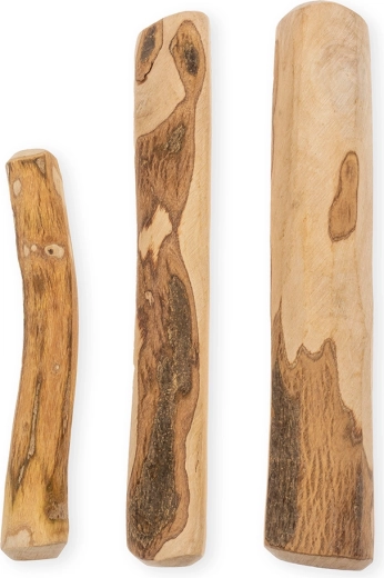 Støtte til tandhygiejne