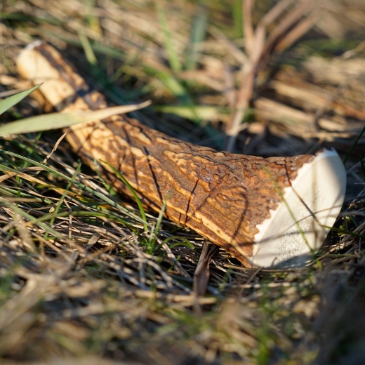 Produit durable et naturel