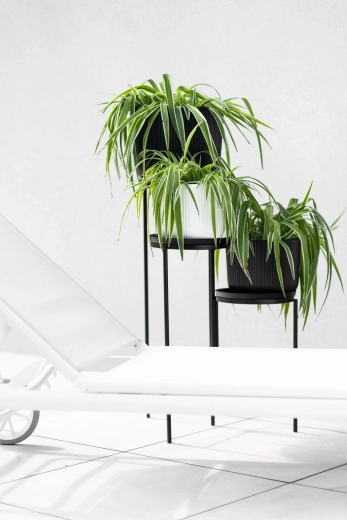 A style that complements modern interiors