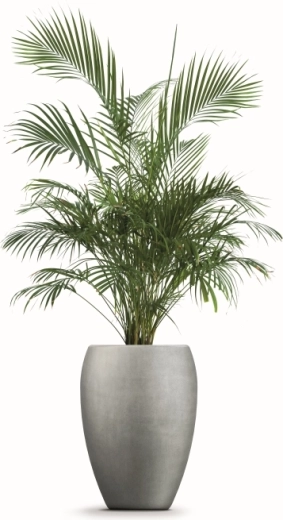 Léger et facile à déplacer