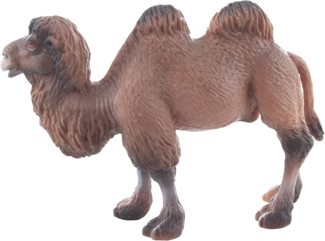 Dimensioni compatte per un uso facile