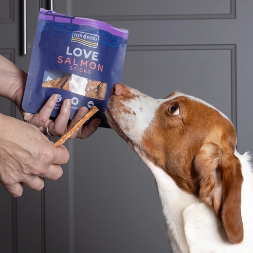 Sans céréales pour les chiens sensibles
