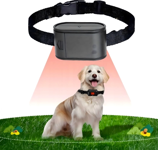 Collier confortable et léger pour un usage quotidien