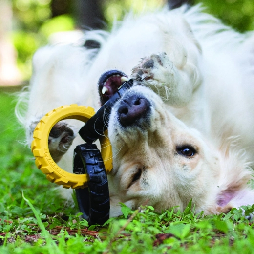 Interaktiv sjov inde og ude