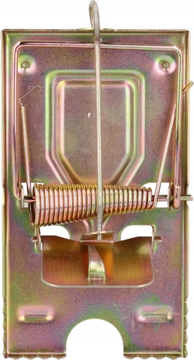 Structure entièrement métallique résistante