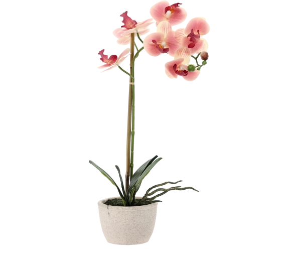 Senza manutenzione tutto l’anno