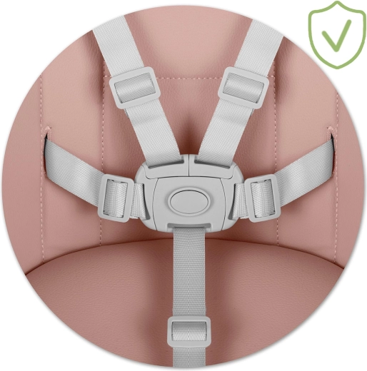 Massima sicurezza con cintura a 5 punti