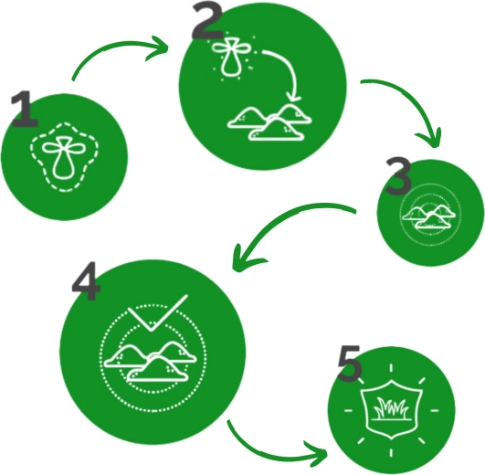 Applicazione semplice passo dopo passo