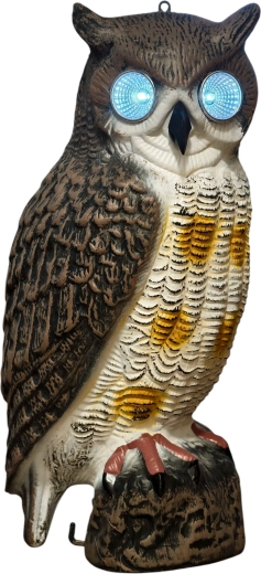 Occhi a LED solari per maggiore efficacia