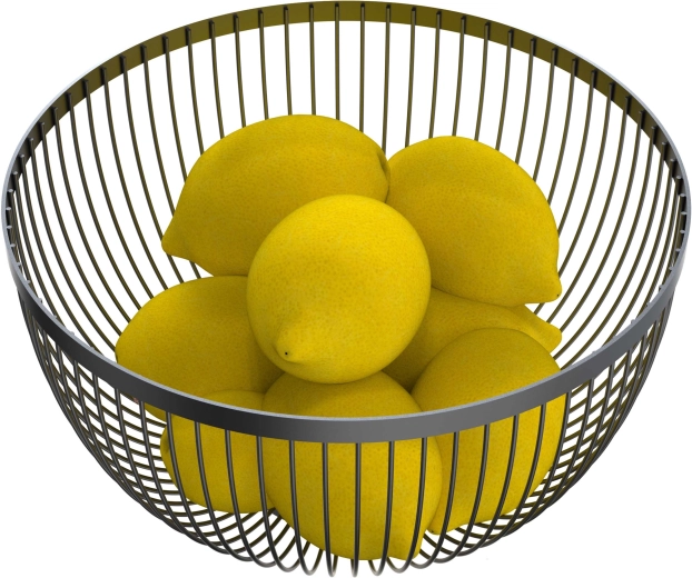 Corbeille à fruits en fil métallique noire 24,6 × 14,6 cm