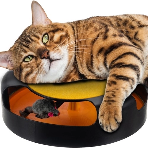 Interactive Cat Toy with Mouse