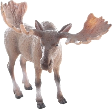 Realismo per un’esperienza fedele