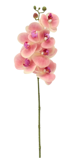 Senza manutenzione e sempre un aspetto fresco