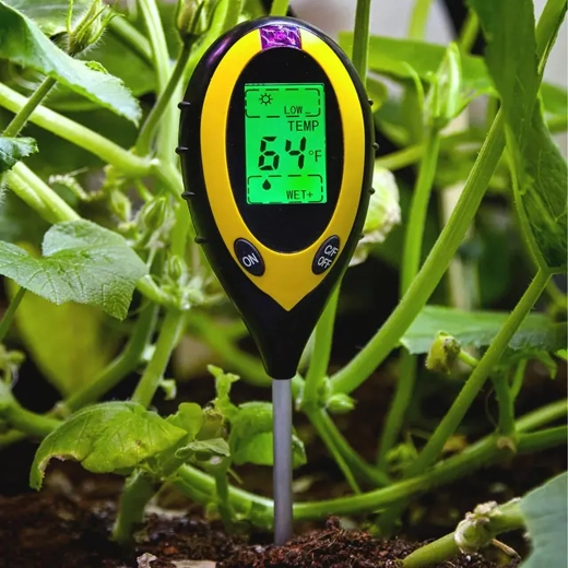 Check soil temperature and moisture directly in the pot