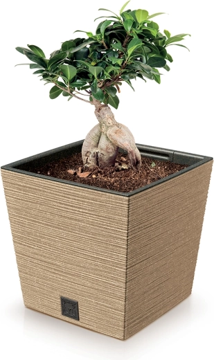 Forme carrée moderne avec profil bas