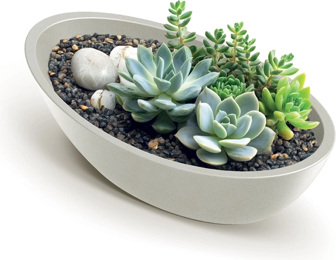 Ideal for succulents and arrangements