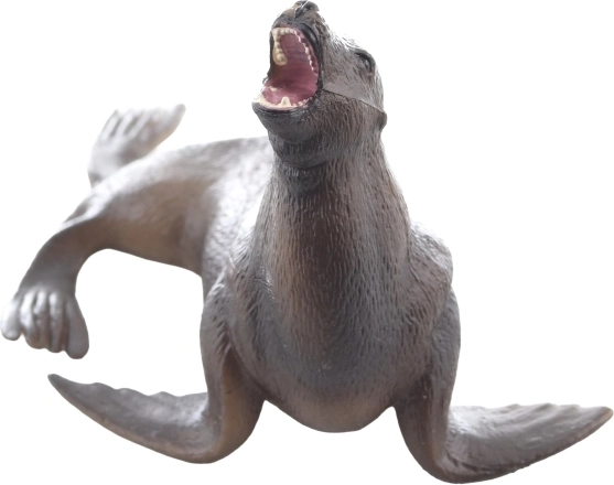 Ottima per imparare sugli animali marini