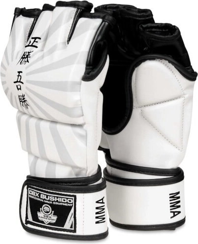 MMA Gloves DBX Bushido e1v7 – L