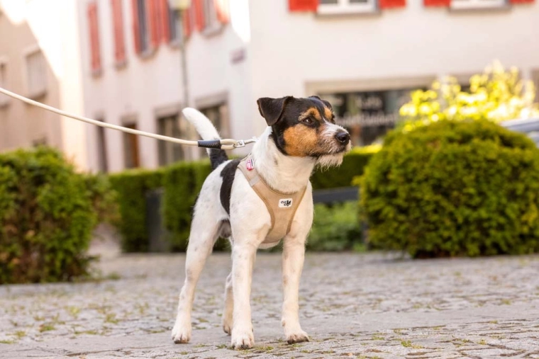 Bezpečnosť pri každom kroku