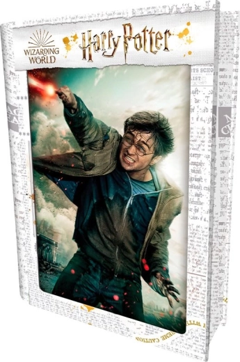 3D sestavljanka HARRY POTTER – Harry, 300 koščkov