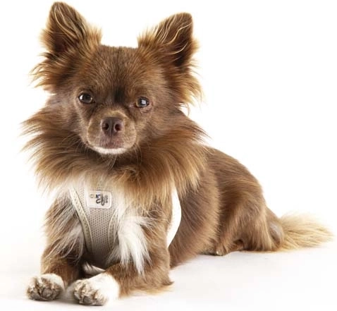 Ergonomiczny krój bez nacisku na szyję