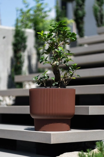 Moderan rebrasti dizajn