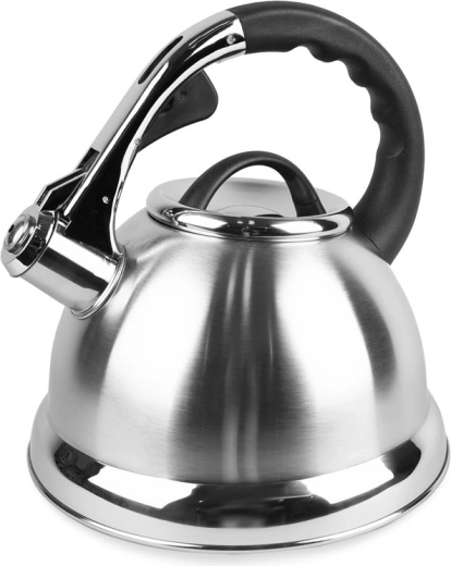Bollitore in acciaio inox 2,8 l Maestro