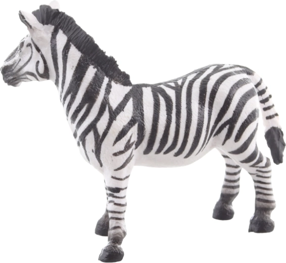 Ideale per il gioco educativo