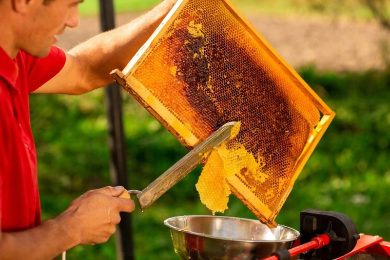 Idealno za odkrivanje satov
