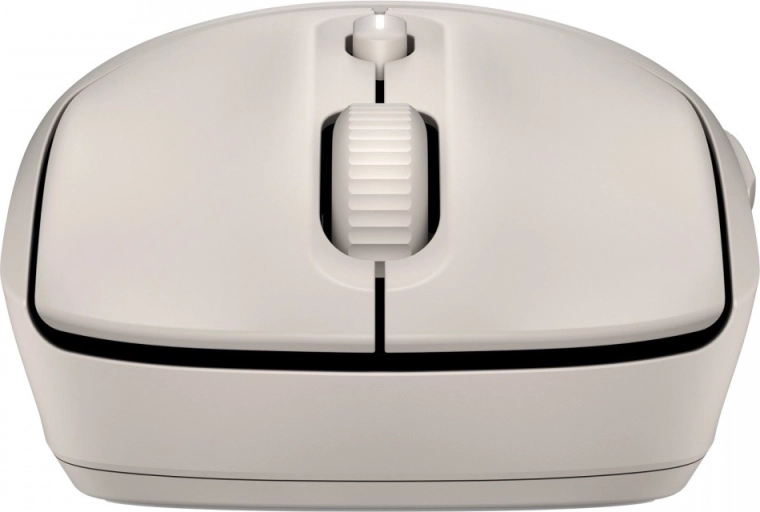 Dual wireless connectivity