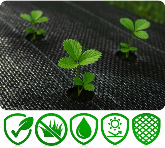 Toile robuste 70 g/m² avec protection UV