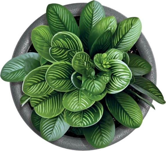 Polyvalent pour la maison et le jardin