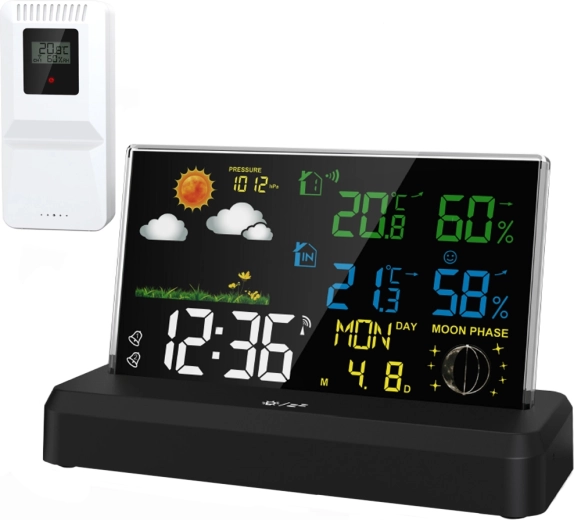 MalTec stazione meteo wireless Daily2000M