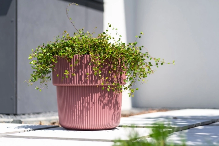 Lakša njega zahvaljujući praktičnom ulošku