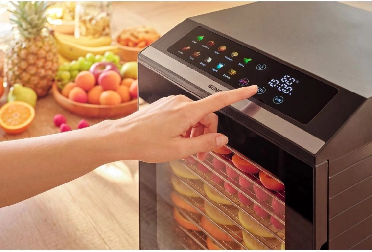 Touch controls and automatic programmes